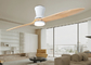 Two leaf solid wood ceiling fan household simple fan lamp integrated living room fan lamp frequency conversion 110V