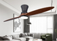 Two leaf solid wood ceiling fan household simple fan lamp integrated living room fan lamp frequency conversion 110V