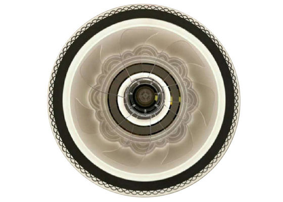 AC220v Round Remote Control Ceiling Fan Light D500*H150MM