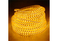 Outdoor Highlight Dimmable LED Strip Lights 108 Beads Single Row